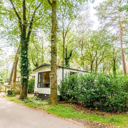 Veluwe Chalet Aan Het Bos - Kids - Pool - Dog Hoenderloo Exterior photo
