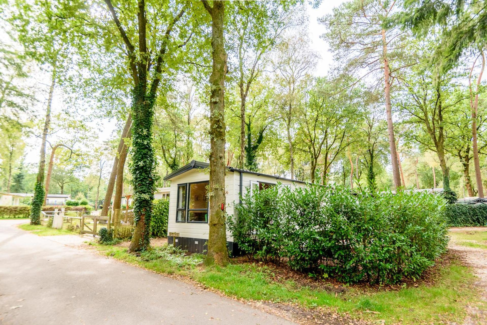 Veluwe Chalet Aan Het Bos - Kids - Pool - Dog Hoenderloo Exterior photo